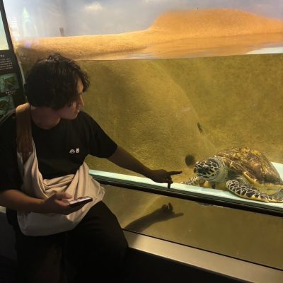 有賀野 かなた 画像