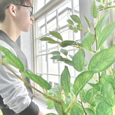 夢愛 コナン 画像